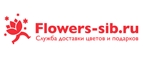 Купоны и промокоды на Flowers-sib.ru за август 2022